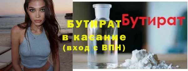 хмурый Пересвет
