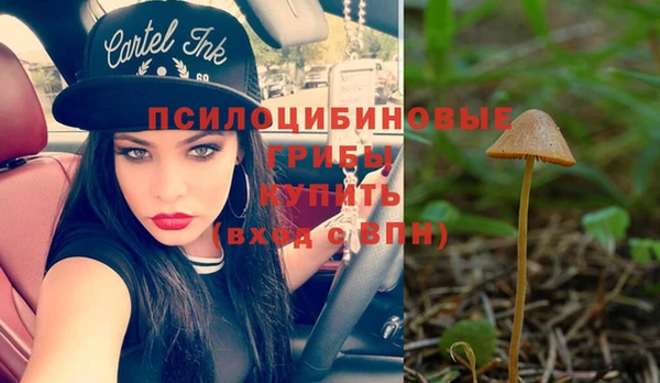 экстази Богородск